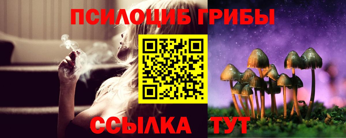Глазов  Псилоцибиновые грибы GOLDEN TEACHER  Галлюциногенные грибы Psilocybine cubensis  Вход с VPN 